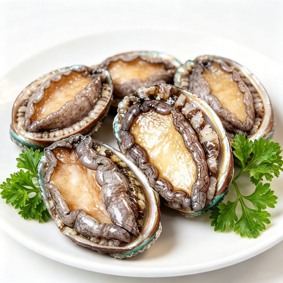 Six abalone on the half shell arranged on a white plate