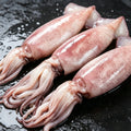 Three raw squid with tubes and tentacles intact on dark slate